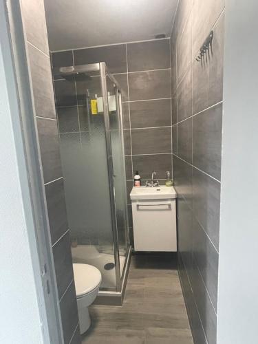 a bathroom with a shower and a toilet and a sink at Charmant logement proche Disneyland Paris parking in Lagny