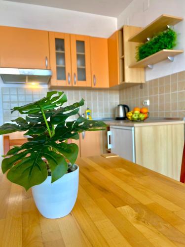 Gallery image of Vespera Apartments in Bol