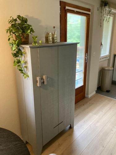 a grey cabinet with a plant on top of it at Haus Leopold in Breiten