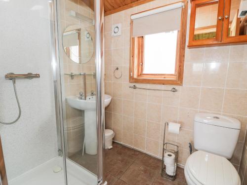 a bathroom with a toilet and a sink and a shower at Snowdon Vista Cabin in Caernarfon