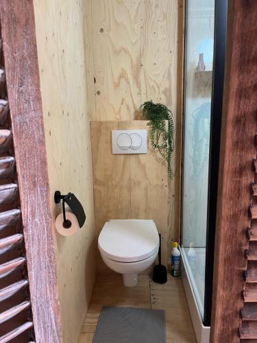 a small bathroom with a toilet and a shower at Eb en Vloed in Huisduinen