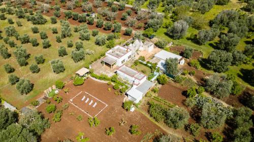 Άποψη από ψηλά του Primo Natalicchio