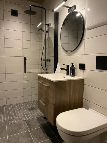 Stryn Mountain Lodge في سترين: حمام مع مرحاض ومغسلة ومرآة