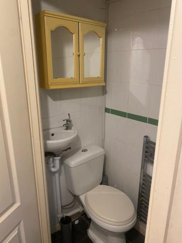 a small bathroom with a toilet and a sink at La Mansion in Wednesbury