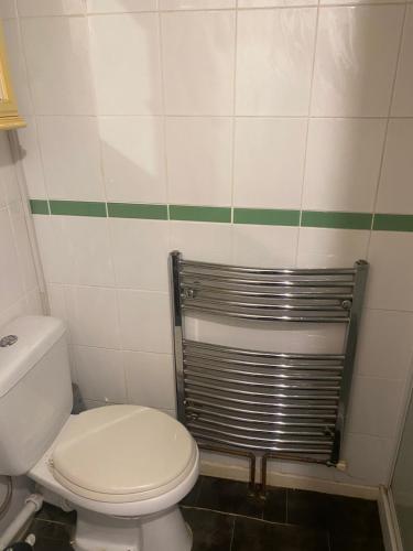 a bathroom with a white toilet and a metal gate at La Mansion in Wednesbury