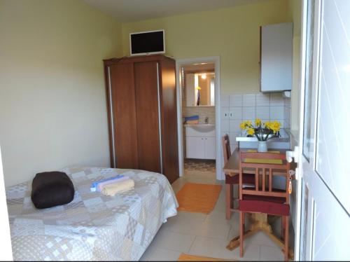 a small room with a bed and a desk and a sink at Apartmani Frakić in Veli Rat