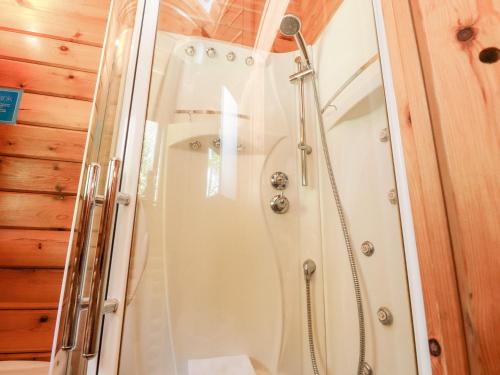 a shower with a glass door in a bathroom at Gisburn Forest Lodge in Skipton