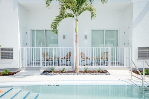 a patio with chairs and a palm tree next to a pool at Mint House St. Petersburg - Downtown in St Petersburg