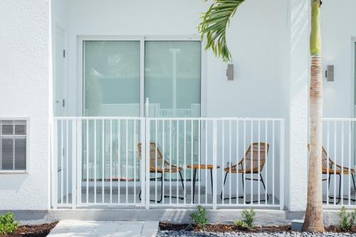a porch with two chairs and a palm tree at Mint House St. Petersburg - Downtown in St Petersburg