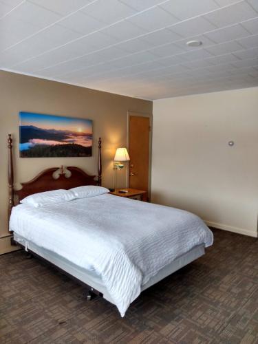 Ένα ή περισσότερα κρεβάτια σε δωμάτιο στο Sara Placid Inn & Suites