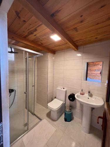 a bathroom with a toilet and a sink at Madağ Bungalov in Ardeşen