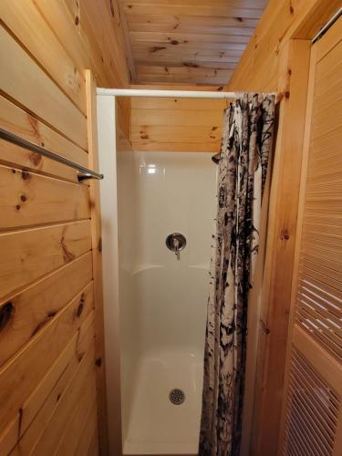 a bathroom with a shower with a shower curtain at Tobermory Village Cabins in Tobermory