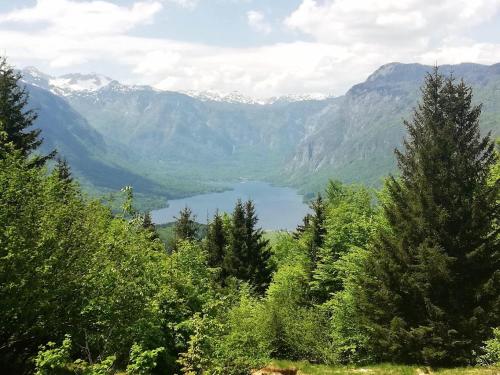 una vista di un lago in una valle con montagne di Apartment Ana a Bohinj