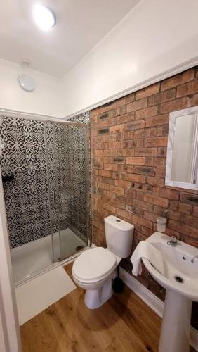 a bathroom with a toilet and a shower and a sink at Sunnyside Studio Apartment in Llandrindod Wells