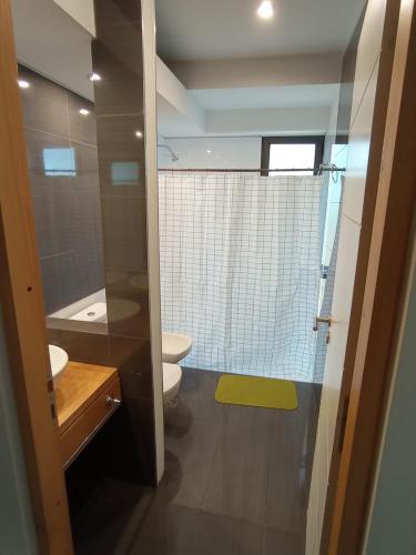 a bathroom with a toilet and a sink at Departamentos Kairos H in Mendoza