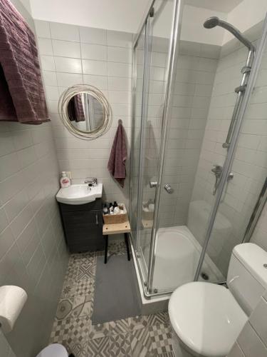 ein Bad mit einer Dusche, einem WC und einem Waschbecken in der Unterkunft Linden Blossom in Liepāja