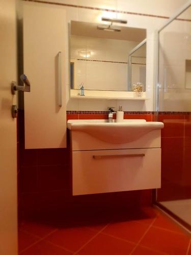 uma casa de banho com um lavatório e um espelho em Apartment Dort em Koper
