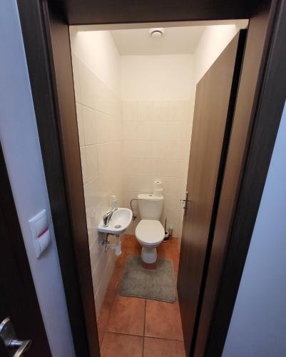 a small bathroom with a toilet and a sink at Excellent apartments in Spa City Center 5 min walk from the Colonnade in Karlovy Vary