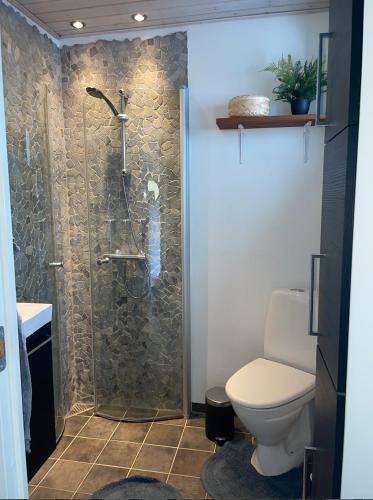 a bathroom with a shower and a toilet at Hyggeligt sommerhus i Jerup in Jerup