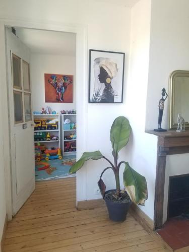 une plante assise dans un salon à côté d'une cheminée dans l'établissement Maison de village, à Le Breuil-en-Auge