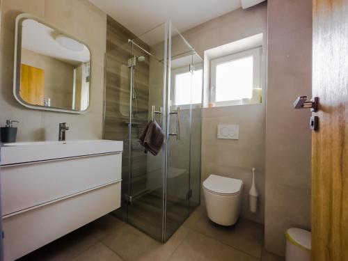 a bathroom with a shower and a toilet and a sink at APARTMAJI SILVA in Slap ob Idrijci