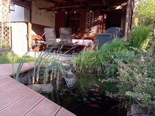 a koi pond in the yard of a house at Apartament Kapi in Kalwaria Zebrzydowska