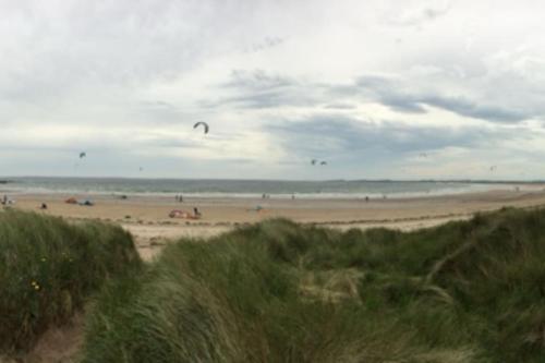 a group of people on a beach flying kites at Rockview Beadnell - Perfect Family Retreat in Beadnell
