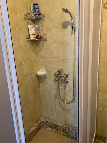 La salle de bains est pourvue d'une douche avec une porte en verre. dans l'établissement Apartman Snezana Kalimanj, à Tivat