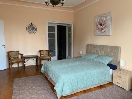 Säng eller sängar i ett rum på Apartment Tašmajdan