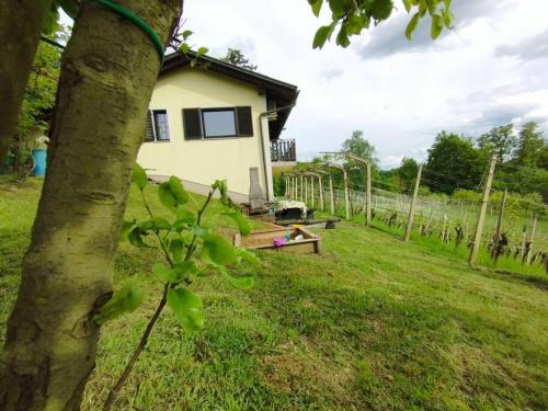 a house in a field with a tree at Mini hiška v objemu vinograda in Pristava pri Mestinju