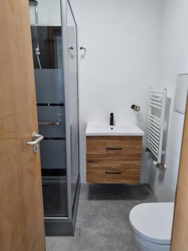 a bathroom with a shower and a toilet and a sink at Gemütliche Wohnung bei Leipzig in Schkeuditz