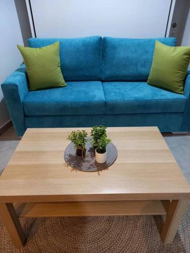 a blue couch with two plants on a coffee table at Το Κεντρικό διαμέρισμα της πόλης in Larisa