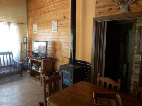 a living room with a television and a wooden wall at La Peninsula Cabaña in San Carlos de Bariloche