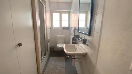 a bathroom with a sink and a toilet and a mirror at Hostellerie des Princes-Evêques - Le Secret in Porrentruy