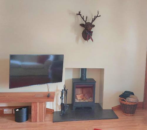 a living room with a fireplace and a flat screen tv at Upper Deck in Eyemouth