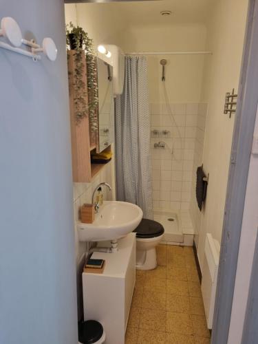 a small bathroom with a sink and a toilet at Maison avec extérieur dans un village provençal in Saint-Romain-en-Viennois