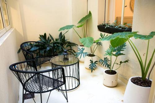 um grupo de cadeiras e vasos de plantas num quarto em jh - Creado como un Hotel Boutique em Buenos Aires