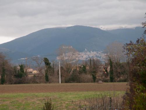 a field with a mountain in the background with a town at Il Casale Della Fornace in Bastia Umbra