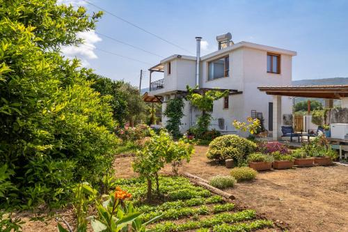 Eliva house