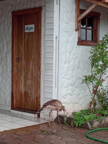 a bird standing in front of a house with a door at Chalés do Apolinário in Tiradentes