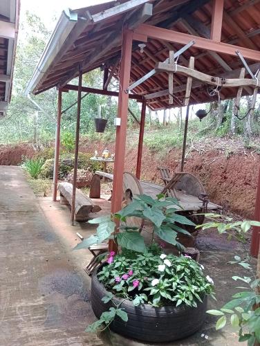 a large tire with flowers in front of a shed at Chalés do Apolinário in Tiradentes