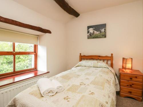 SeathwaiteにあるHall Dunnerdale Cottageのベッドルーム(ベッド1台、窓付)