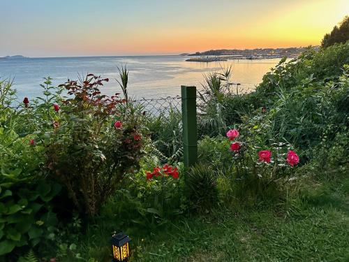 a garden with flowers and a fence and the ocean at Hostal Casa Aurita Adults Only in Sanxenxo