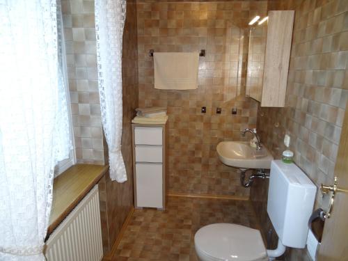 ein kleines Bad mit WC und Waschbecken in der Unterkunft Ferienwohnung Heger in Bad Steben