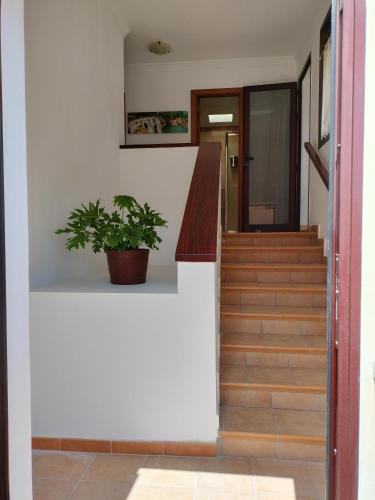Casa Paraiso Canario