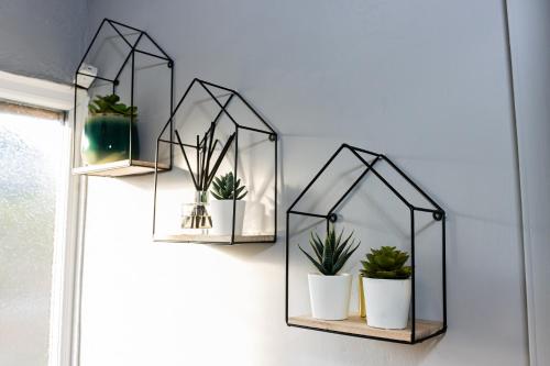 three glass shelves with potted plants on a wall at DUDLEY 3 Bedroom House-PERFECT FOR CONTRACTORS-FAMILIES-LEISURES-LONG STAY in Woodside