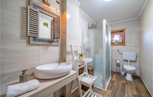 a bathroom with a sink and a toilet at Lovely Home In Bosiljevo With Kitchen in Bosiljevo