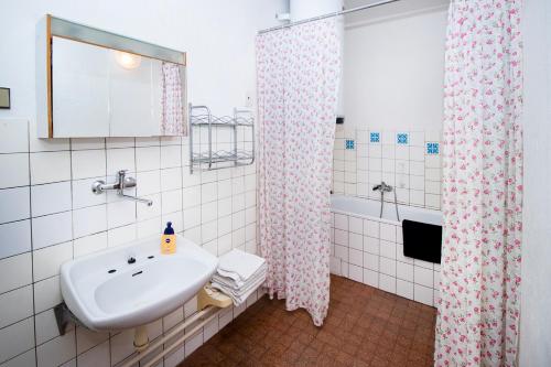 Ubytování u Nováků tesisinde bir banyo