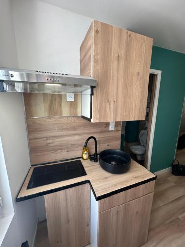 a small kitchen with a sink and a stove at Magnifique Studio - Hypercentre ancien pieton Orléans - Wifi - Accès autonome in Orléans