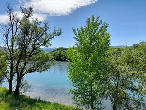 Blick auf einen See zwischen zwei Bäumen in der Unterkunft Vikendica Drina in Ljubovija